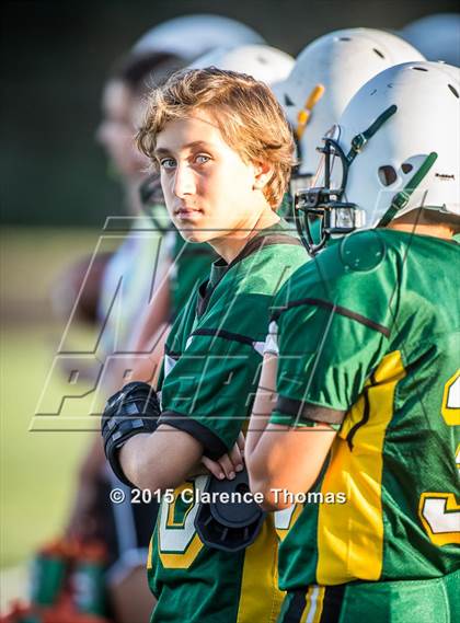 Thumbnail 3 in Champe @ Loudoun Valley photogallery.