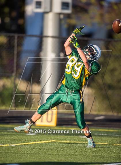 Thumbnail 1 in Champe @ Loudoun Valley photogallery.
