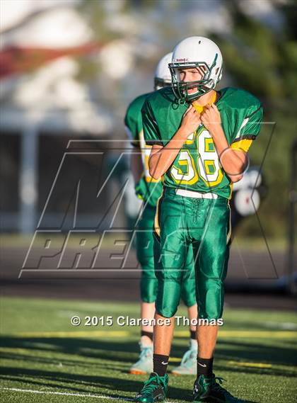 Thumbnail 2 in Champe @ Loudoun Valley photogallery.