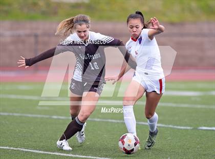 Thumbnail 1 in St. Ignatius vs. Saint Francis photogallery.