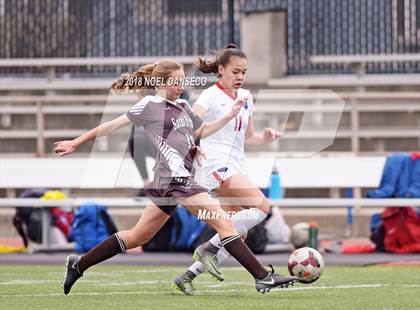 Thumbnail 2 in St. Ignatius vs. Saint Francis photogallery.
