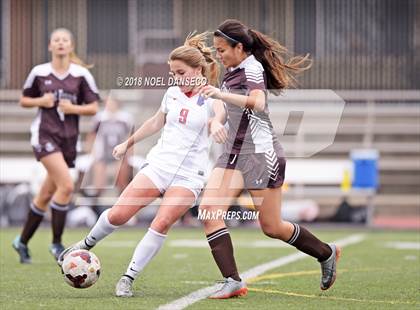 Thumbnail 1 in St. Ignatius vs. Saint Francis photogallery.