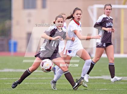 Thumbnail 1 in St. Ignatius vs. Saint Francis photogallery.