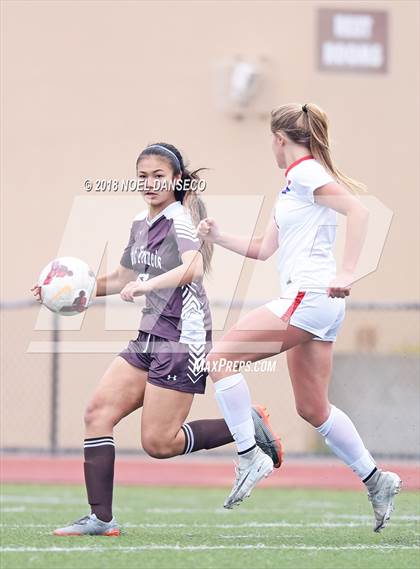 Thumbnail 2 in St. Ignatius vs. Saint Francis photogallery.
