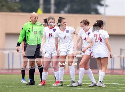 Thumbnail 3 in St. Ignatius vs. Saint Francis photogallery.