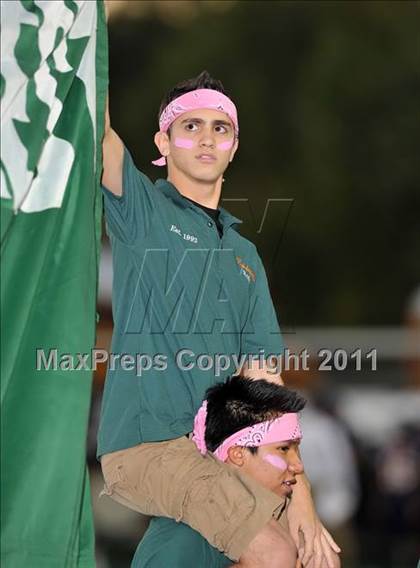 Thumbnail 3 in Naaman Forest @ Sachse photogallery.