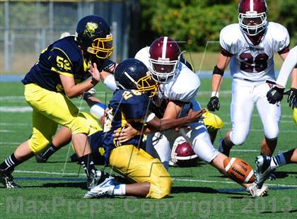 Thumbnail 3 in North Haven @ East Haven photogallery.
