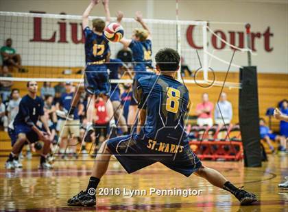 Thumbnail 3 in St. Mark's vs Texas Homeschool Volleyball photogallery.