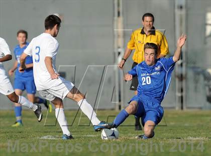 Thumbnail 2 in Los Alamitos @ Fountain Valley photogallery.