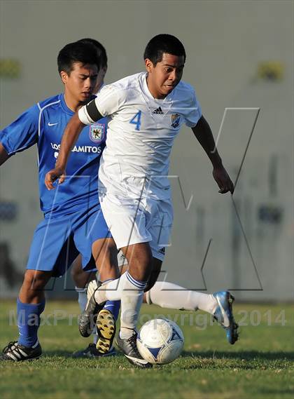Thumbnail 2 in Los Alamitos @ Fountain Valley photogallery.