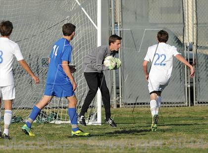 Thumbnail 2 in Los Alamitos @ Fountain Valley photogallery.