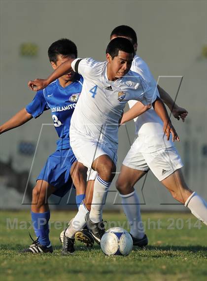 Thumbnail 1 in Los Alamitos @ Fountain Valley photogallery.