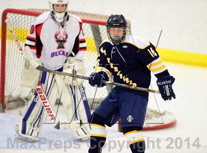 Thumbnail 3 in Wethersfield @ Smith/Tolland/Windham photogallery.