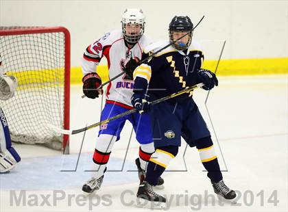 Thumbnail 1 in Wethersfield @ Smith/Tolland/Windham photogallery.