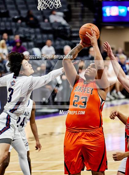 Thumbnail 2 in Stuart Hall vs. Chaffey (CIF State D5 Final) photogallery.