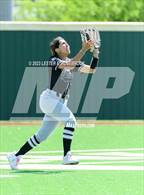 Photo from the gallery "Sotomayor @ Warren"