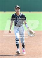 Photo from the gallery "Sotomayor @ Warren"