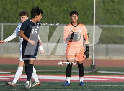 Thumbnail 2 in Cathedral vs. Loyola (CIF State SoCal Regional D1 Final) photogallery.