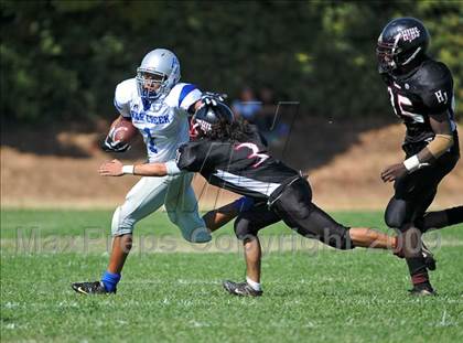 Thumbnail 1 in Bear Creek @ Johnson photogallery.