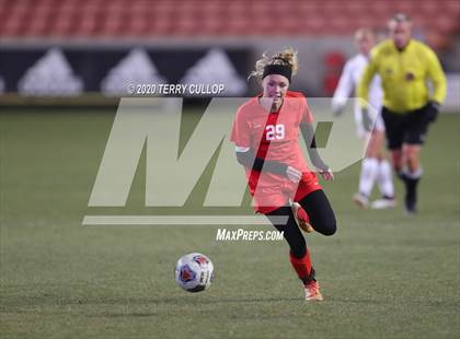 Thumbnail 1 in Morgan vs. Manti (UHSAA 3A Final) photogallery.