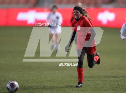 Thumbnail 1 in Morgan vs. Manti (UHSAA 3A Final) photogallery.