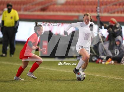 Thumbnail 1 in Morgan vs. Manti (UHSAA 3A Final) photogallery.