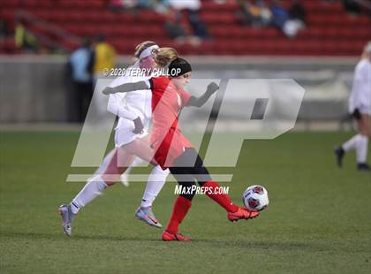 Thumbnail 1 in Morgan vs. Manti (UHSAA 3A Final) photogallery.