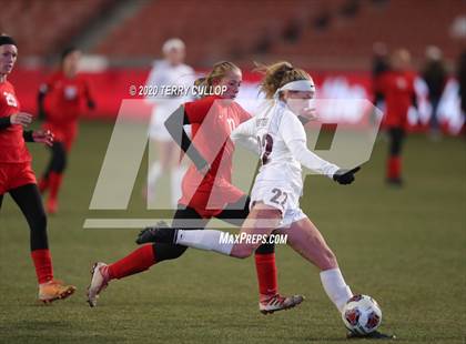 Thumbnail 1 in Morgan vs. Manti (UHSAA 3A Final) photogallery.