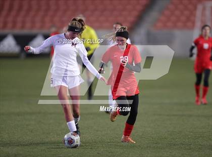 Thumbnail 1 in Morgan vs. Manti (UHSAA 3A Final) photogallery.