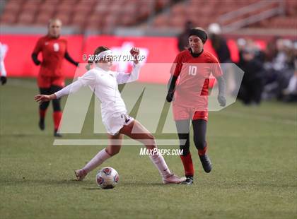Thumbnail 2 in Morgan vs. Manti (UHSAA 3A Final) photogallery.