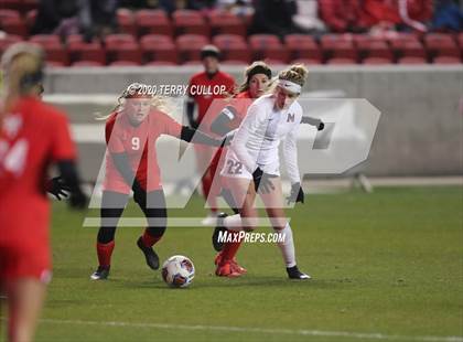 Thumbnail 1 in Morgan vs. Manti (UHSAA 3A Final) photogallery.