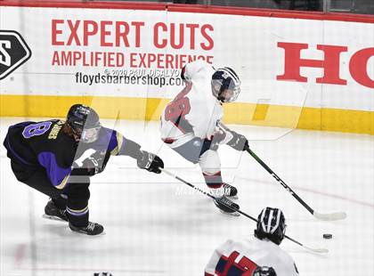 Thumbnail 3 in Fort Collins vs. Chaparral (CHSAA Frozen Four) photogallery.