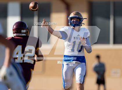 Thumbnail 1 in Alamo Heights @ Harlandale photogallery.