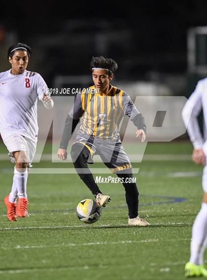 Thumbnail 1 in Judson @ Brennan photogallery.