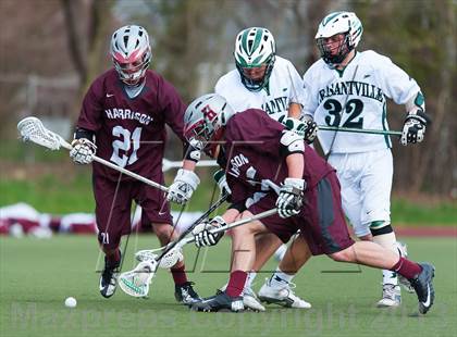 Thumbnail 1 in Harrison @ Pleasantville photogallery.