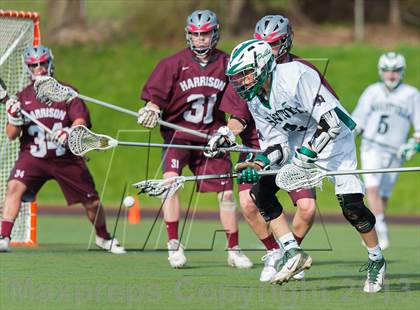 Thumbnail 1 in Harrison @ Pleasantville photogallery.