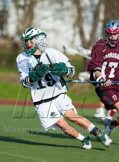 Thumbnail 2 in Harrison @ Pleasantville photogallery.