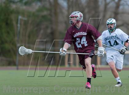 Thumbnail 2 in Harrison @ Pleasantville photogallery.