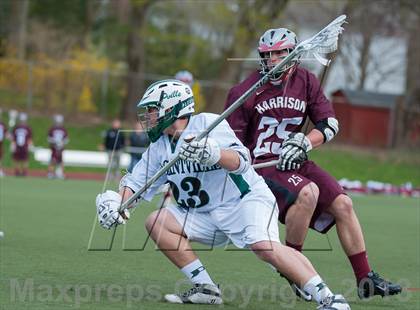 Thumbnail 1 in Harrison @ Pleasantville photogallery.