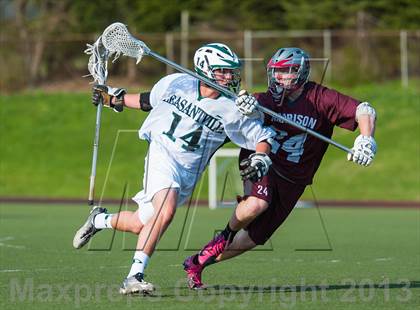 Thumbnail 1 in Harrison @ Pleasantville photogallery.