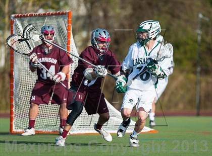 Thumbnail 1 in Harrison @ Pleasantville photogallery.
