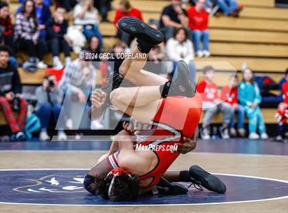 Thumbnail 1 in GHSA Boys' 6A Duals Championship photogallery.