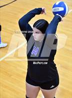 Photo from the gallery "Maud @ Linden-Kildare"