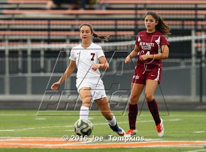 Thumbnail 1 in New Paltz @ Marlboro Central photogallery.