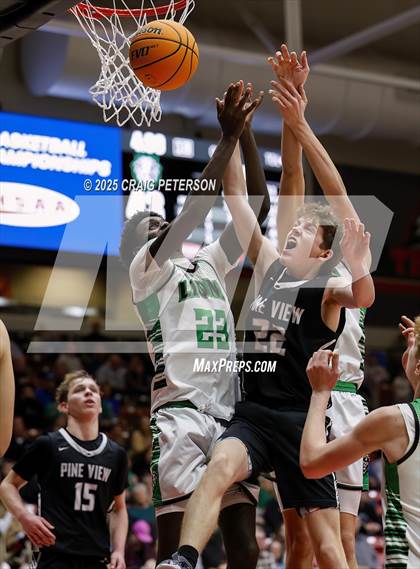 Thumbnail 2 in Payson vs. Pine View (UHSAA 4A Quarterfinal) photogallery.