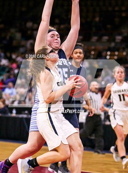 Thumbnail 1 in Widefield vs. Evergreen (CHSAA 4A Final Four) photogallery.