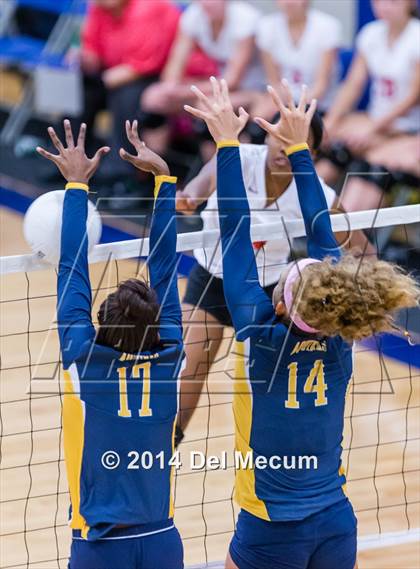 Thumbnail 2 in St. Thomas Aquinas vs. Tampa Prep (Berkeley Premier) photogallery.