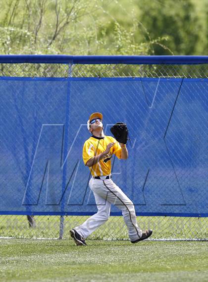 Thumbnail 3 in Walker Valley @ Boyd-Buchanan photogallery.