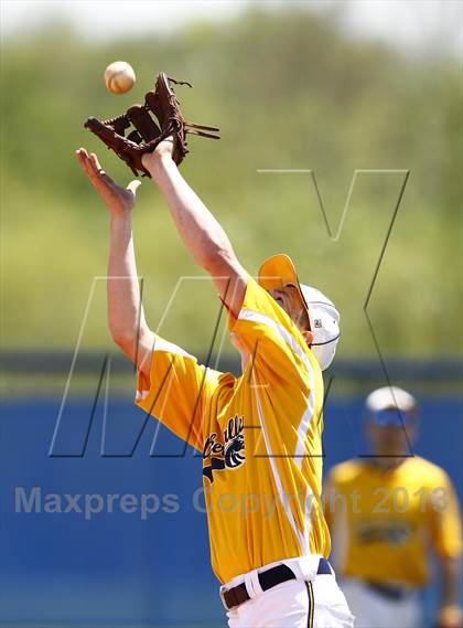 Thumbnail 3 in Walker Valley @ Boyd-Buchanan photogallery.