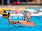 Photo from the gallery "Pasadena @ Crespi"